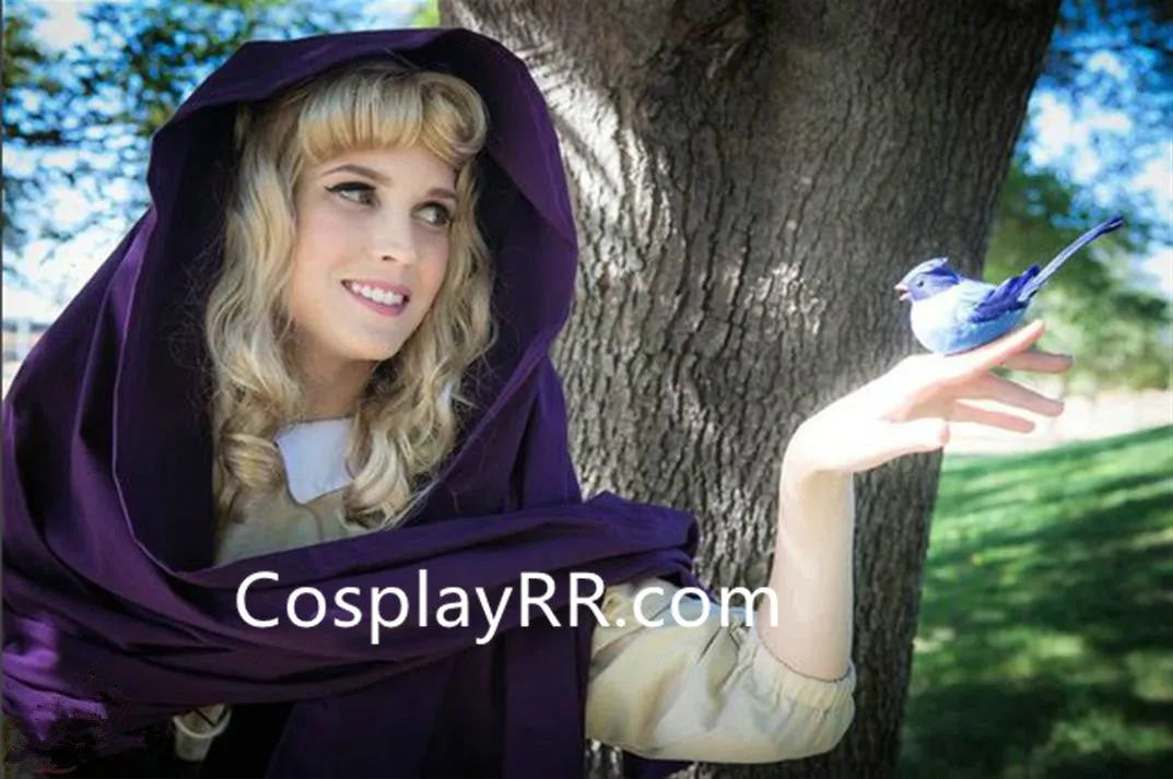 Sleeping Beauty Briar Rose Dress Peasant Costume